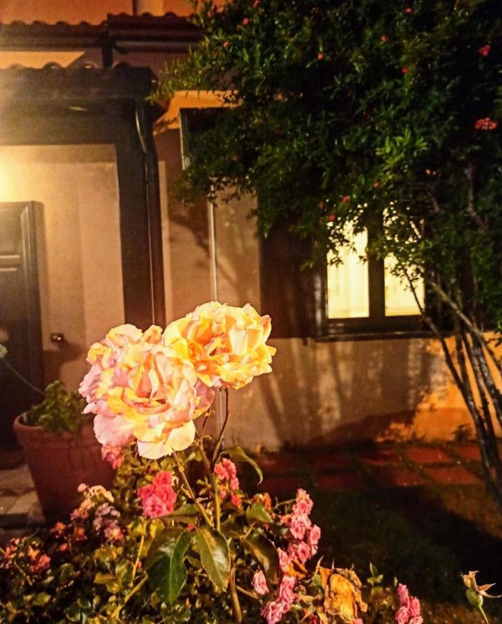 Bed and Breakfast La quercia di Massena Lauria Inferiore Esterno foto
