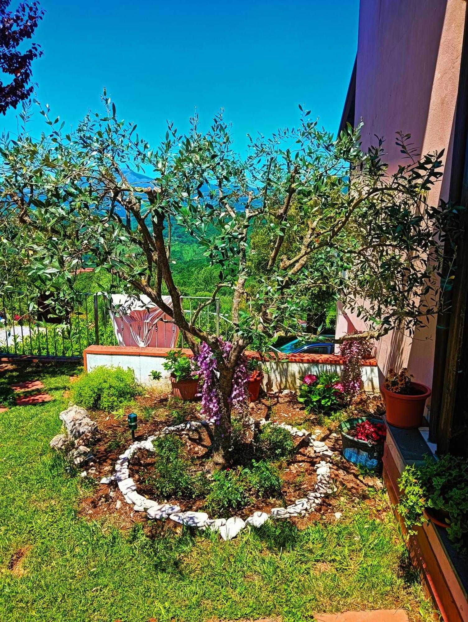 Bed and Breakfast La quercia di Massena Lauria Inferiore Esterno foto