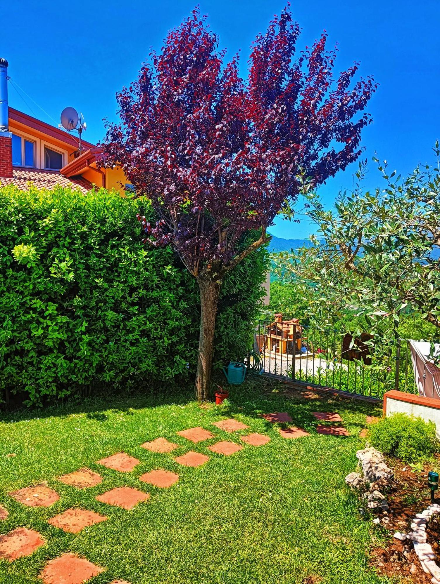 Bed and Breakfast La quercia di Massena Lauria Inferiore Esterno foto