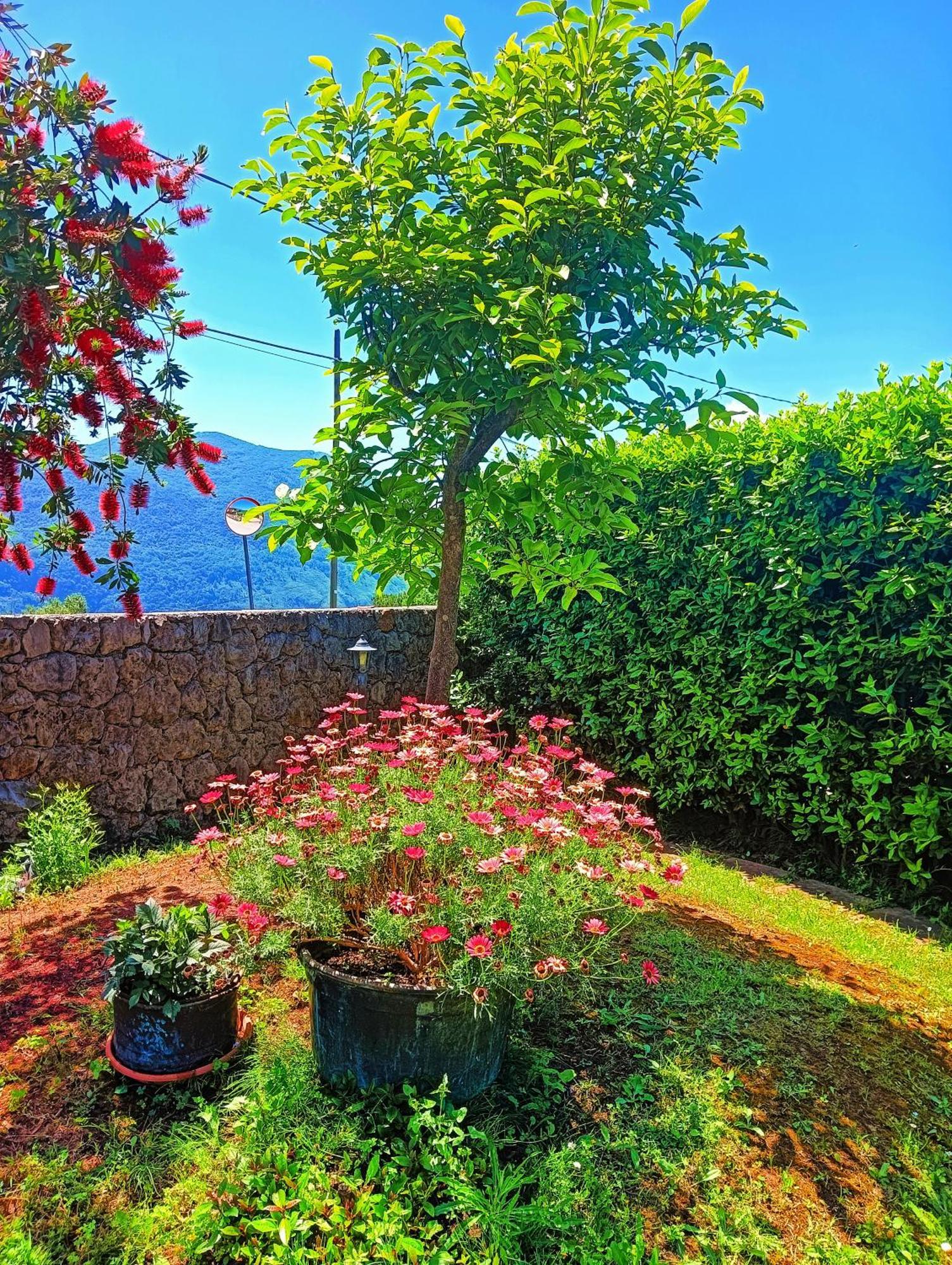Bed and Breakfast La quercia di Massena Lauria Inferiore Esterno foto